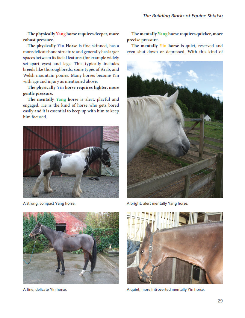 The Art and Science of Equine Shiatsu