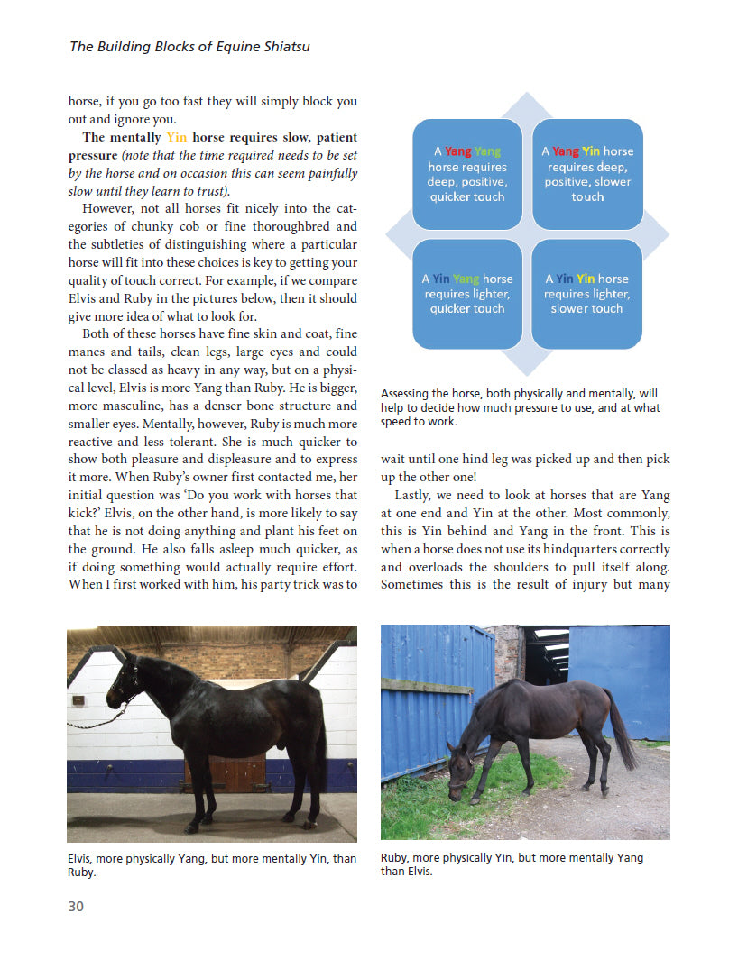 The Art and Science of Equine Shiatsu