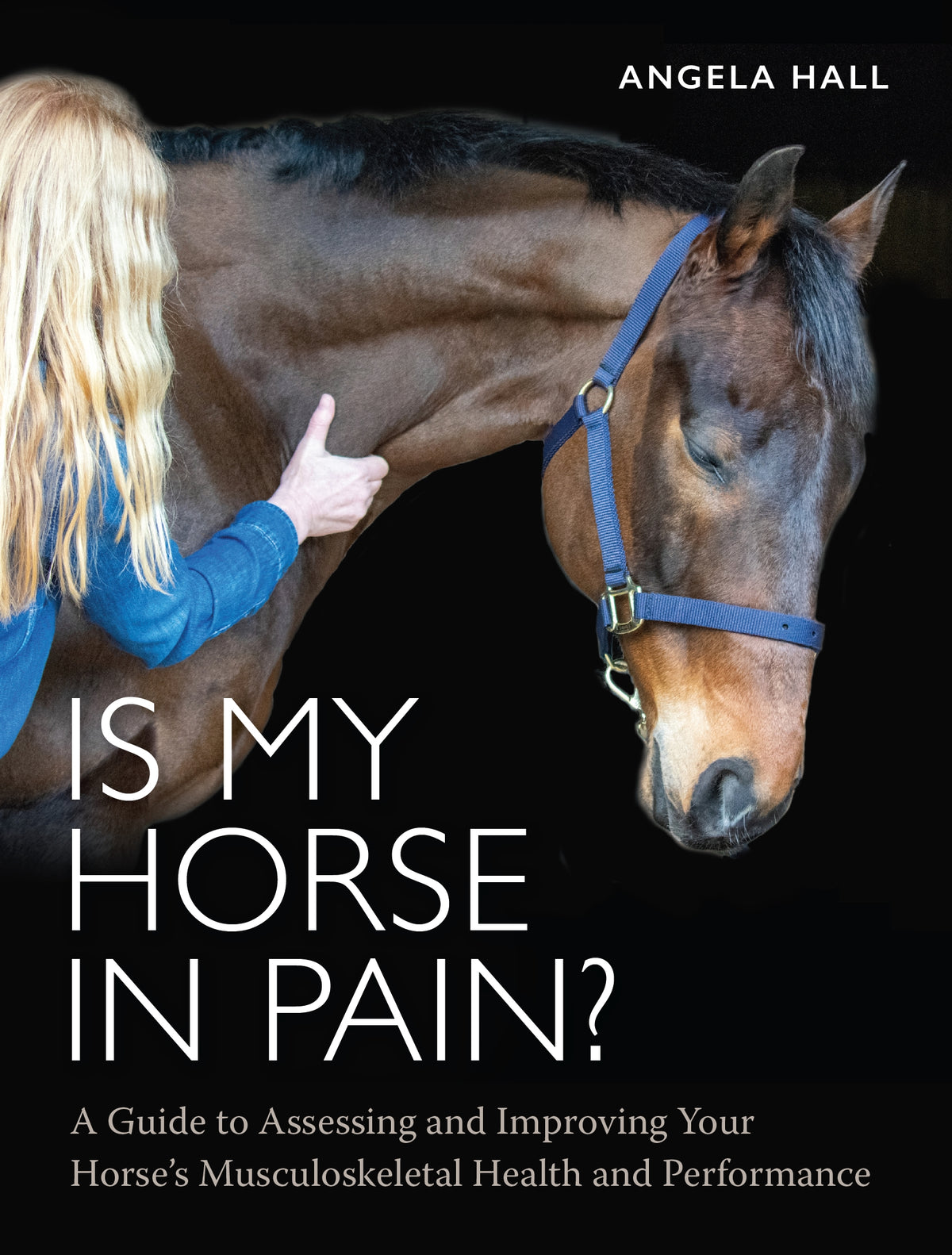 Is My Horse in Pain?