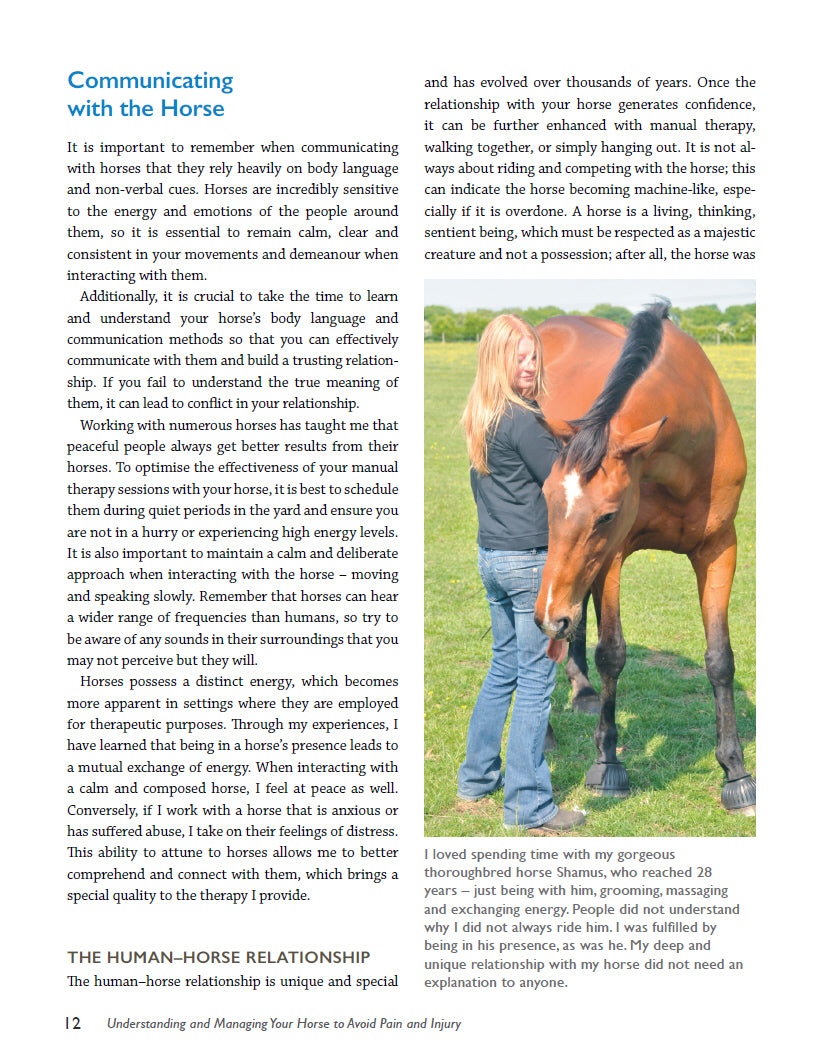 Is My Horse in Pain?