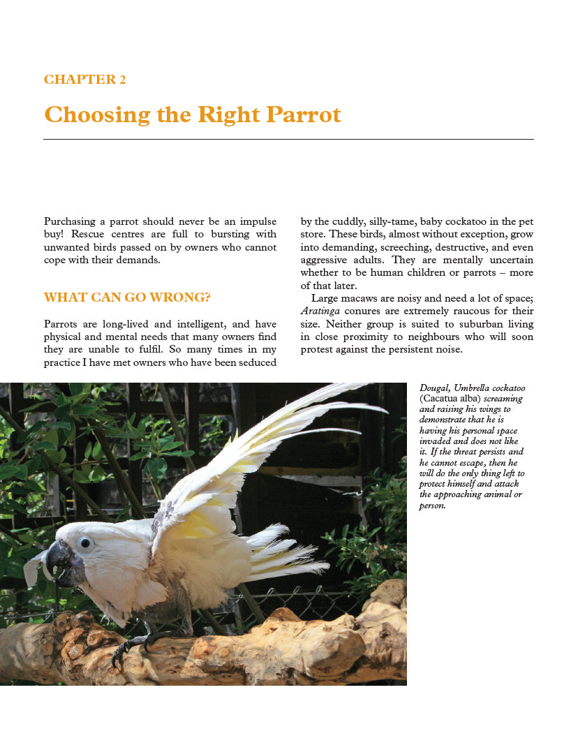 Keeping Parrots