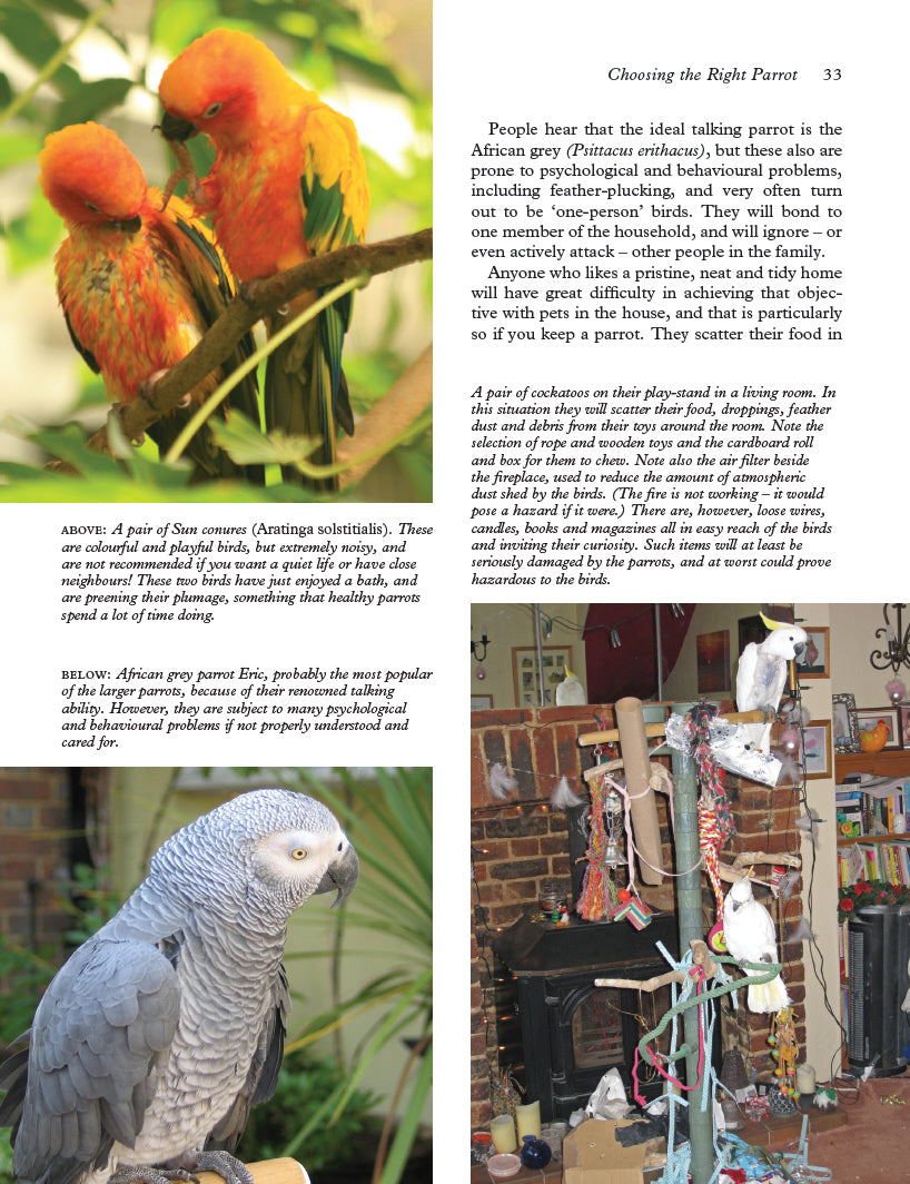 Keeping Parrots