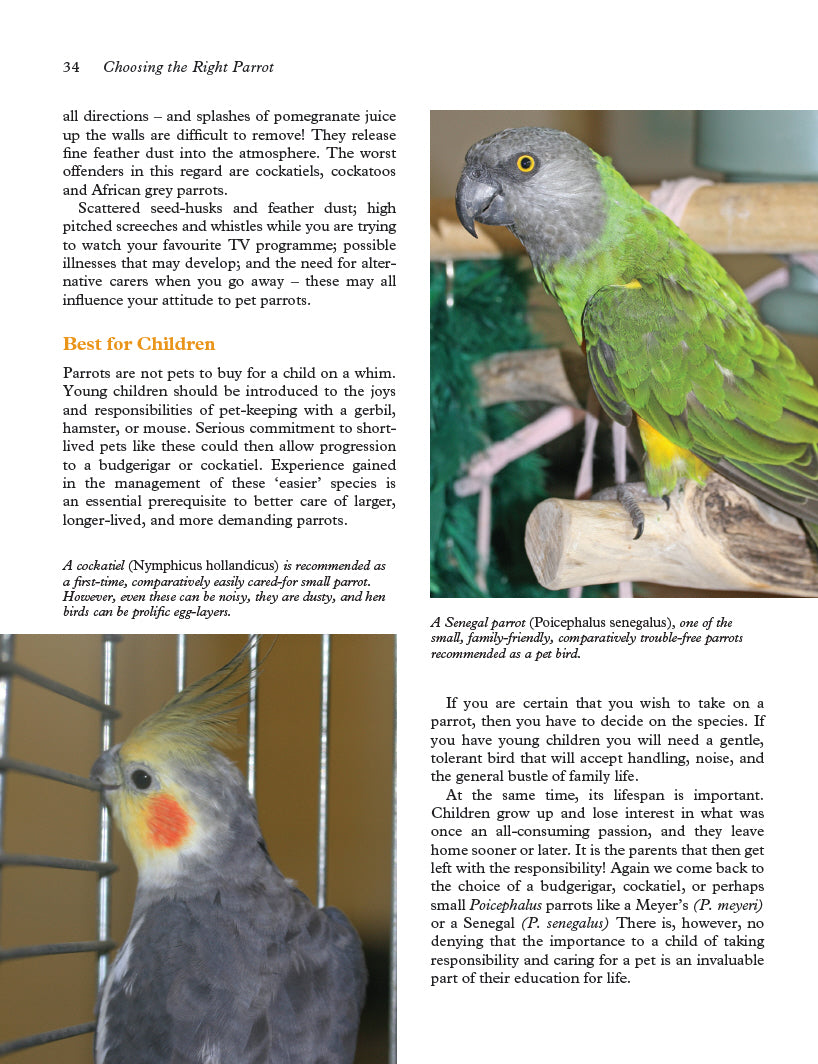 Keeping Parrots