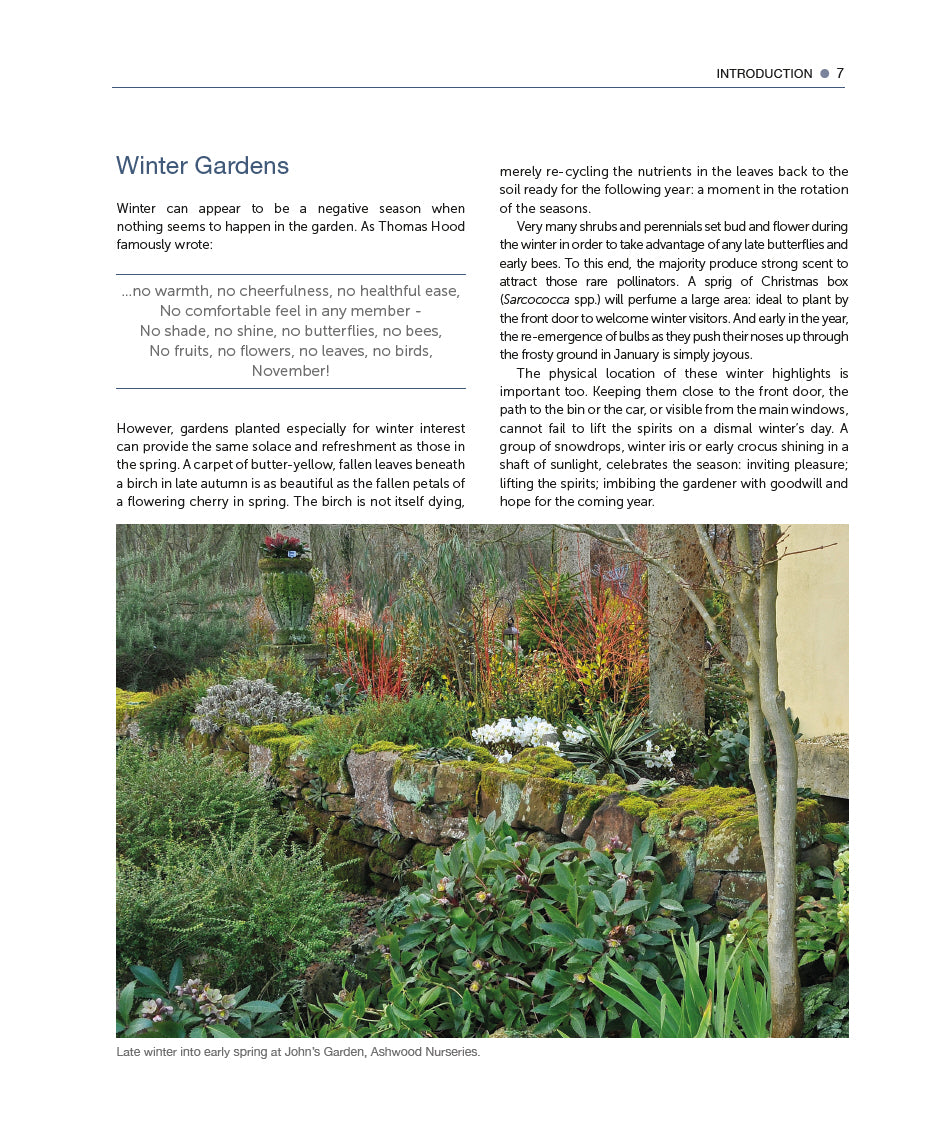 Designing and Creating a Winter Garden