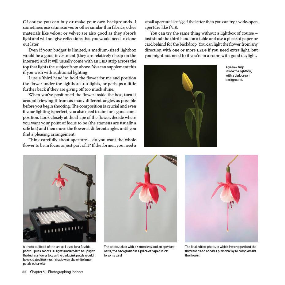 Creative Flower and Plant Photography