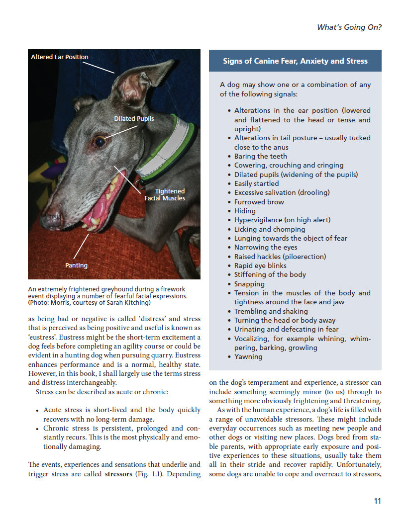Fear and Anxiety in Dogs