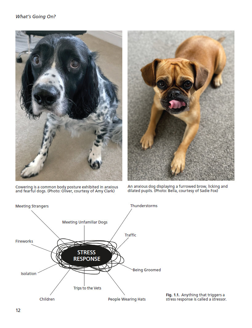 Fear and Anxiety in Dogs