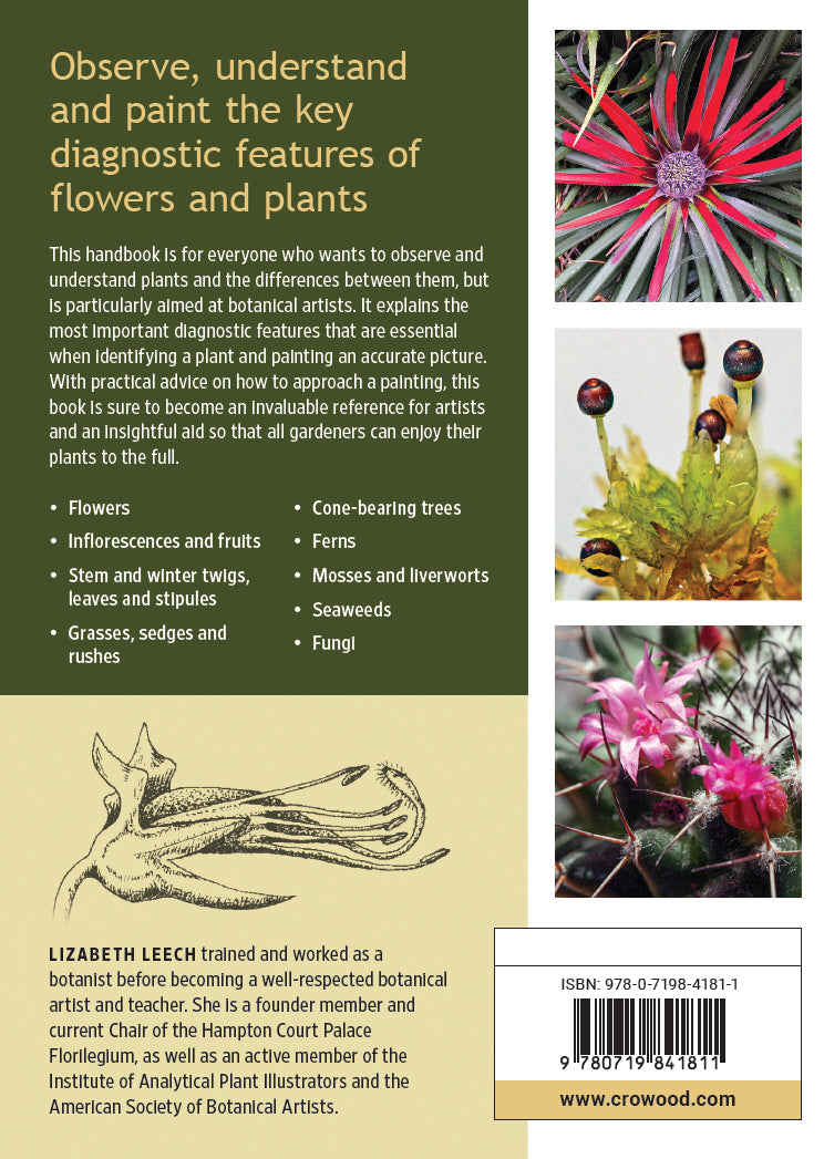 Artists Handbook of Botany
