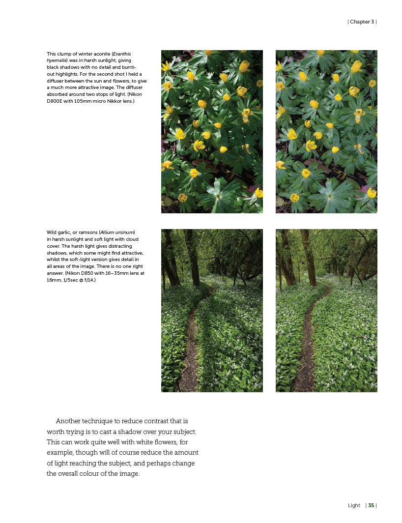 Plant Photography