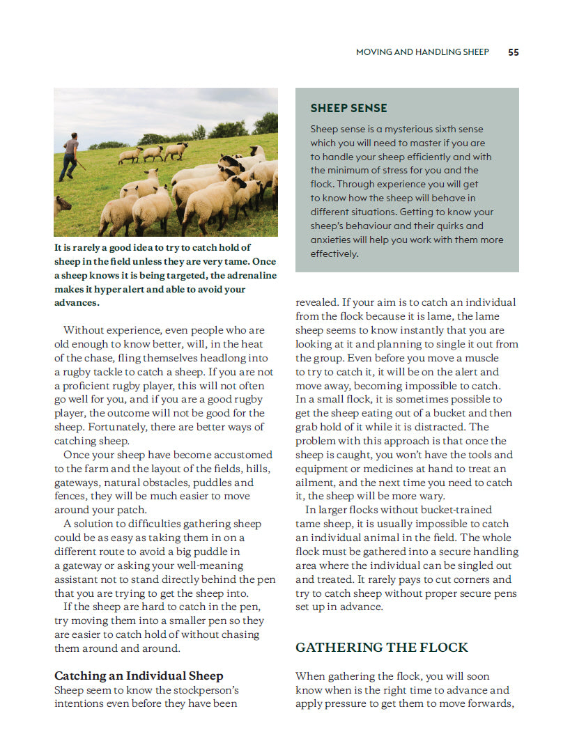Keeping Sheep