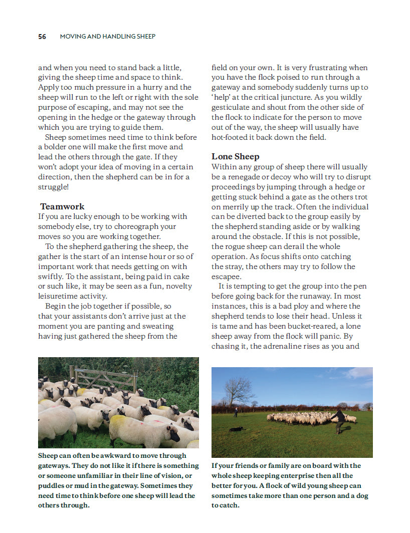 Keeping Sheep