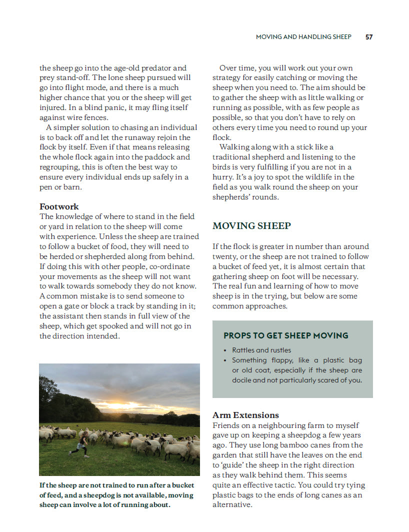 Keeping Sheep