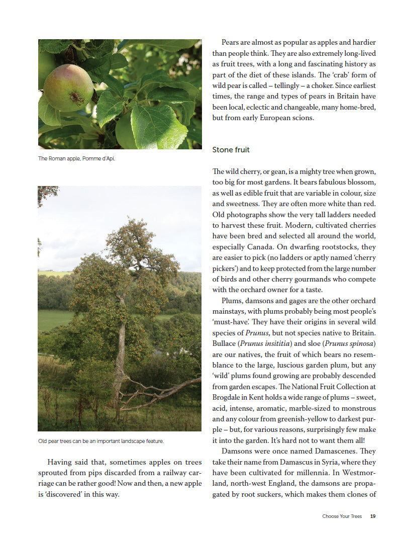 Orchards