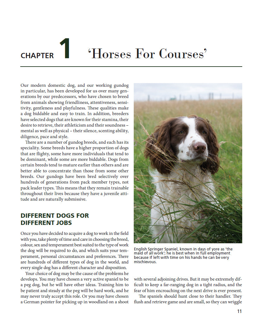 The Trouble with Gundogs