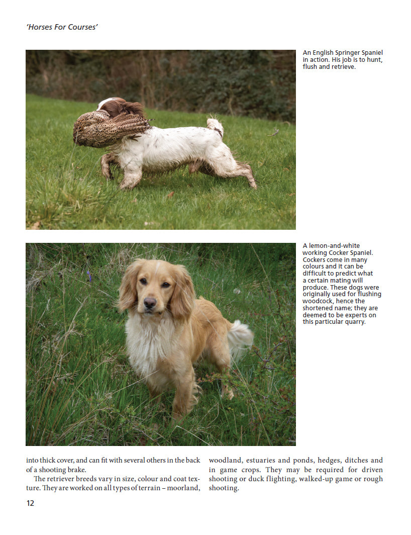 The Trouble with Gundogs