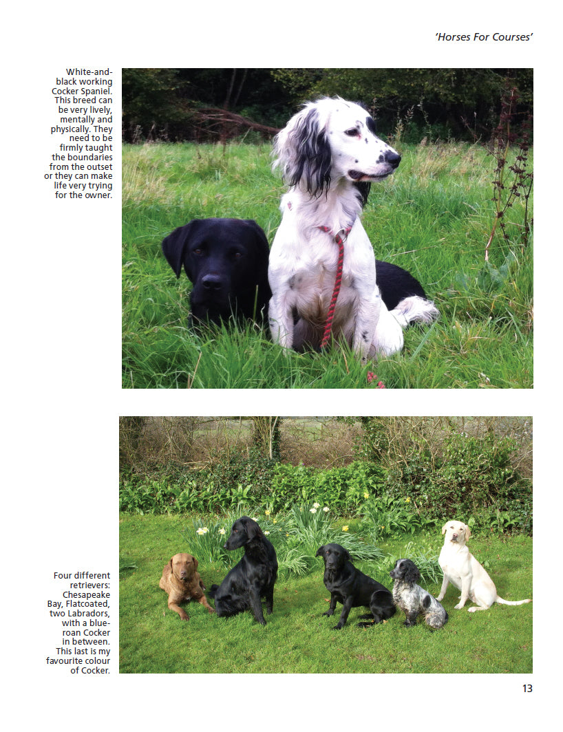 The Trouble with Gundogs