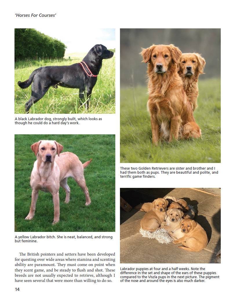 The Trouble with Gundogs