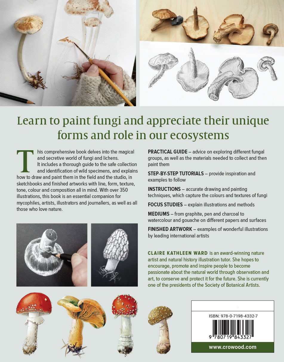Drawing and Painting Fungi