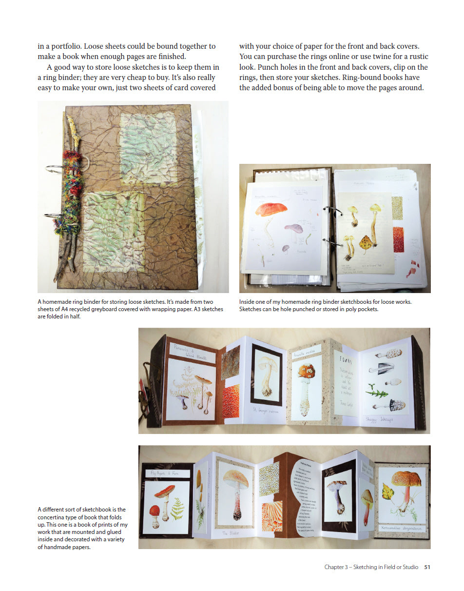 Drawing and Painting Fungi