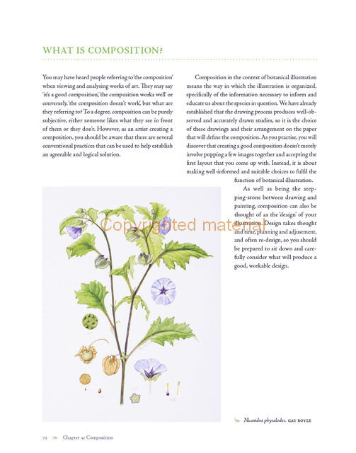 Botanical Illustration