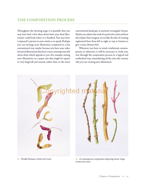 Botanical Illustration