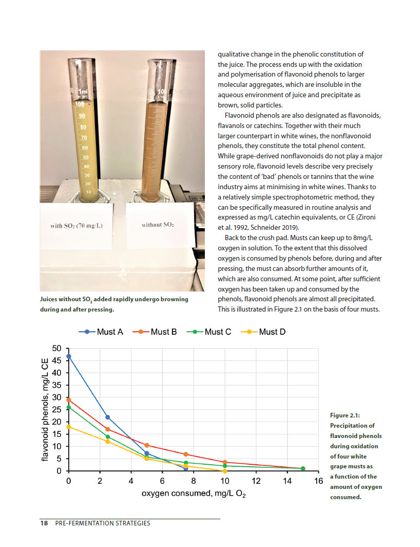 Cool-Climate White Wine Oenology