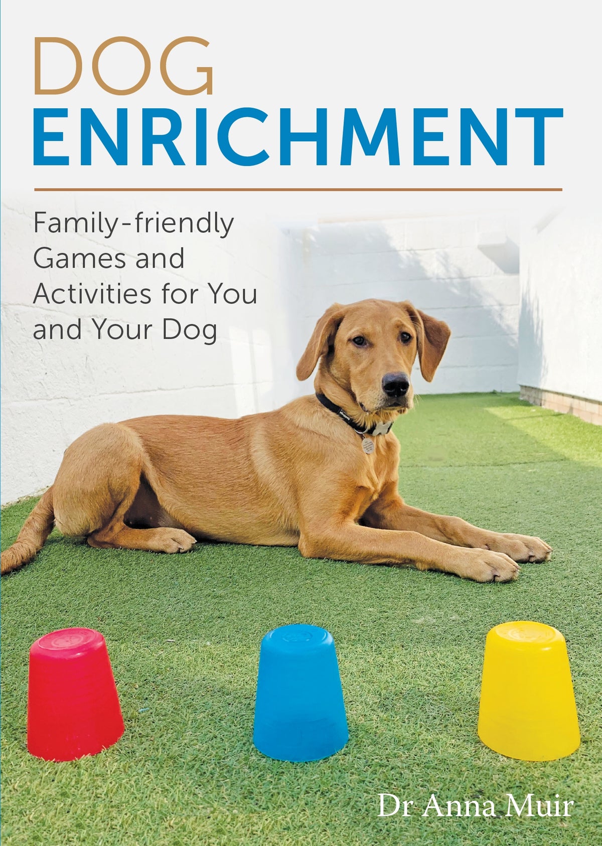 Dog Enrichment
