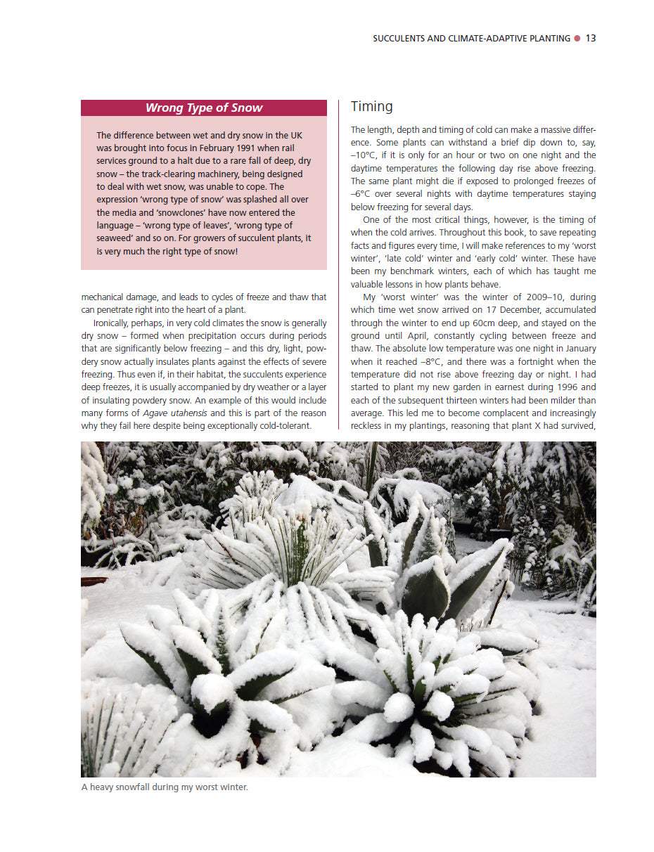 Dry Exotic Garden
