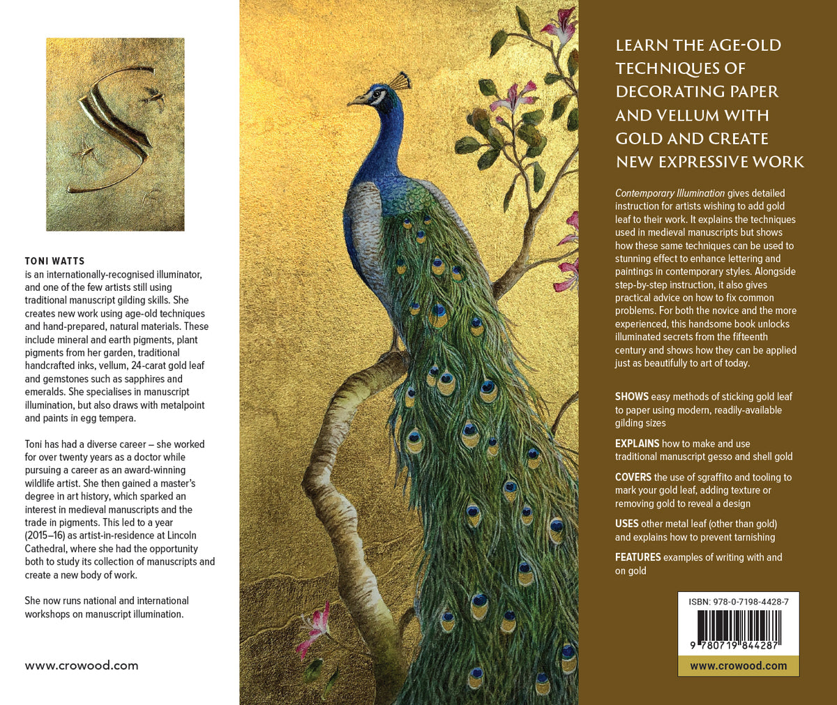 Contemporary Illumination for the Calligrapher and Artist