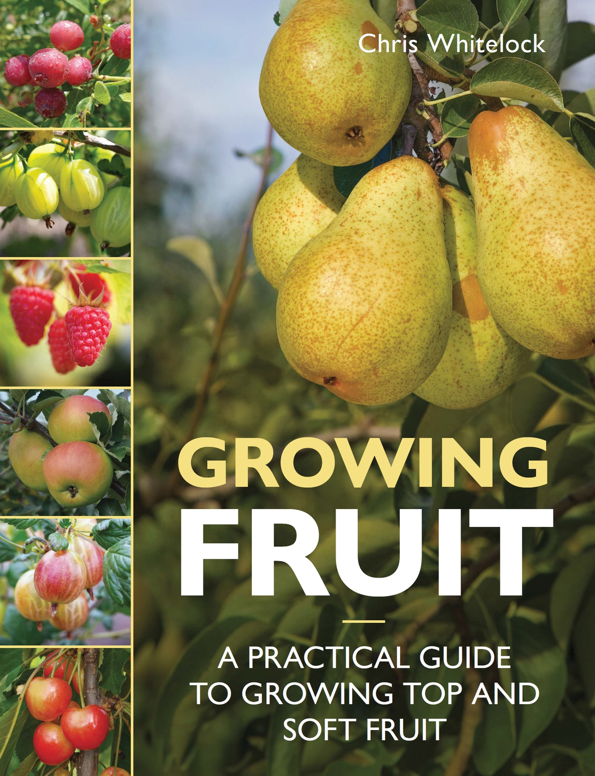 Growing Fruit