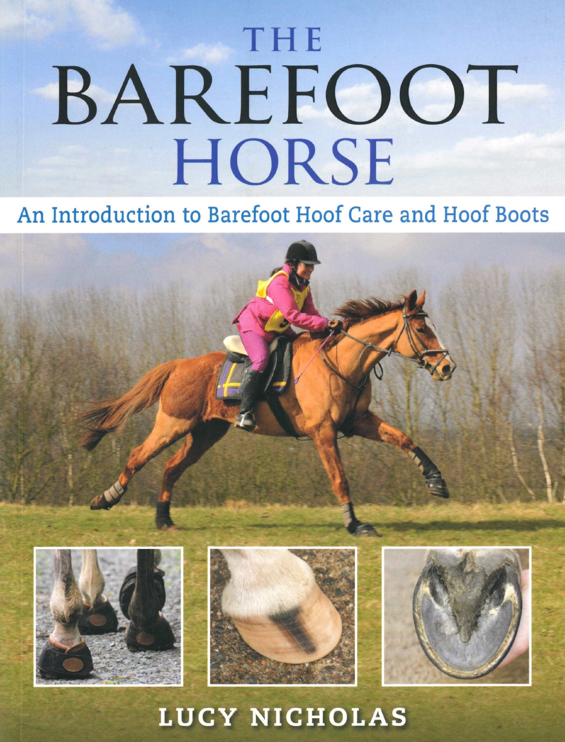 Barefoot Horse