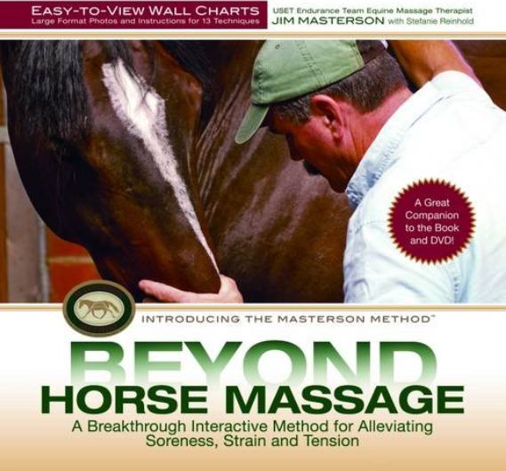 Beyond Horse Massage Wall Chart