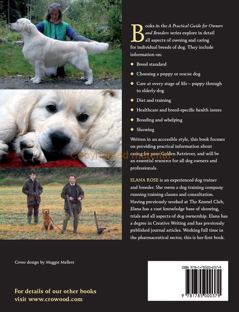 Golden Retrievers