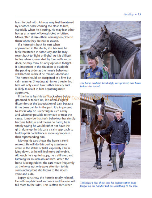 The Horse Grooming Manual