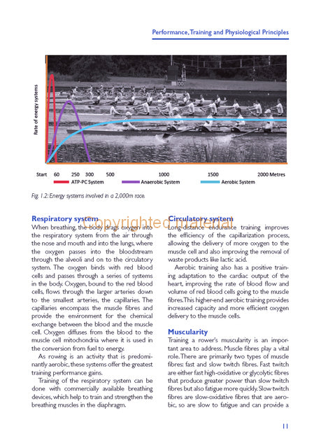 Training for the Complete Rower