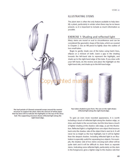 Botanical Drawing using Graphite and Coloured Pencils