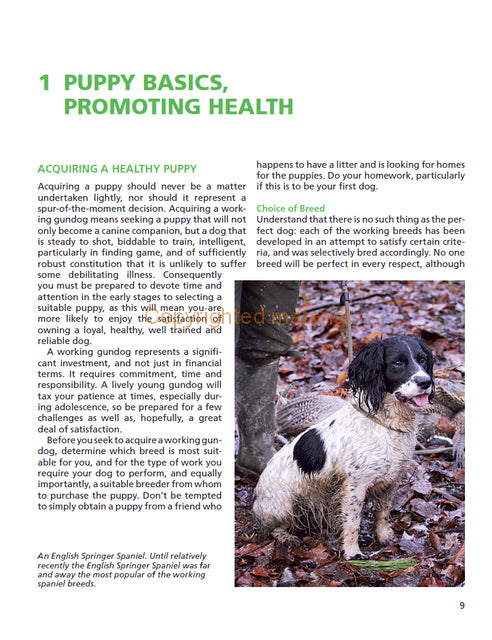 Gundog Health and Welfare