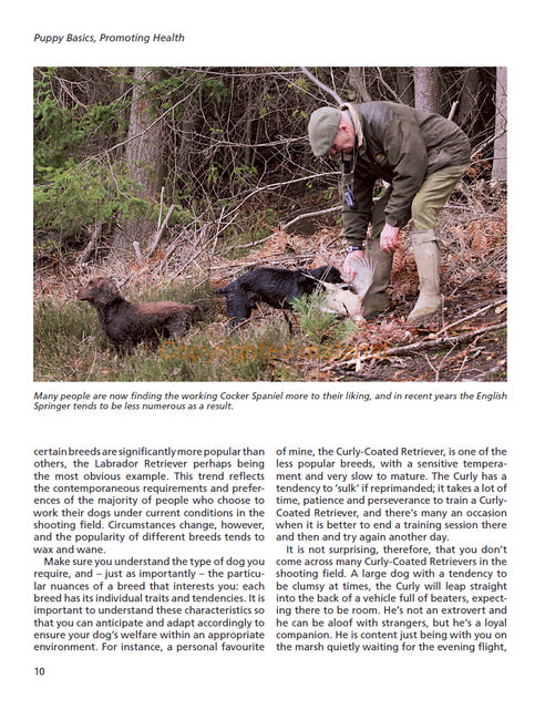 Gundog Health and Welfare