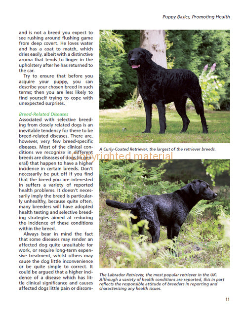 Gundog Health and Welfare