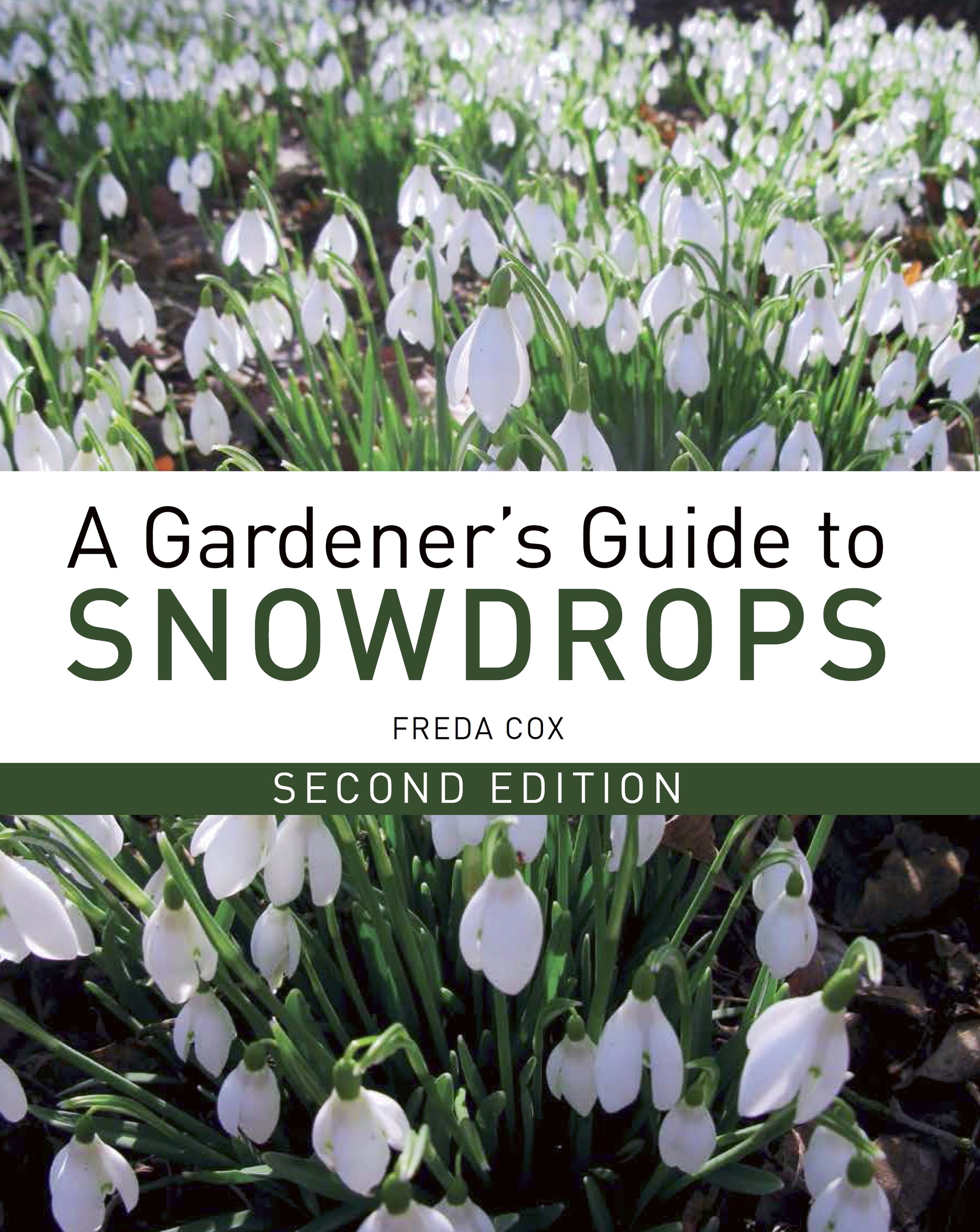 A Gardener's Guide to Snowdrops