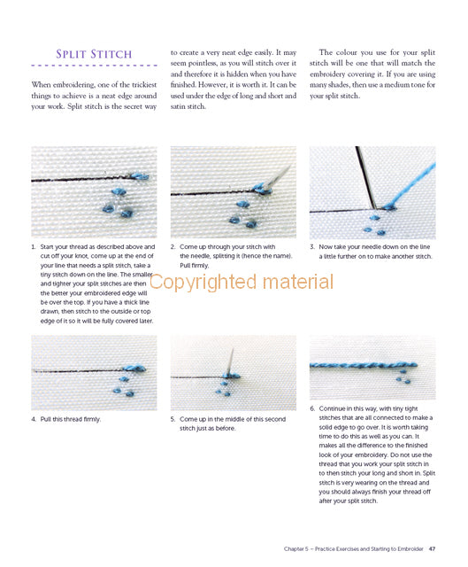 Thread Painting and Silk Shading Embroidery