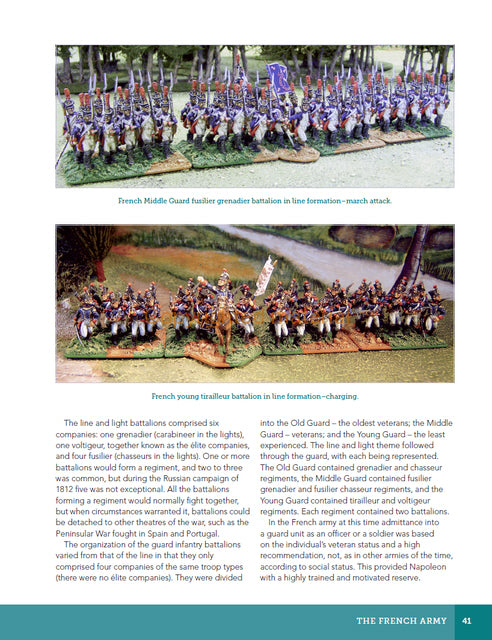 Creating A Napoleonic Wargames Army 1809-1815