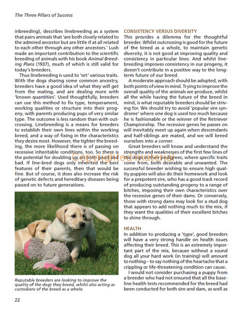 Advanced Retriever Training