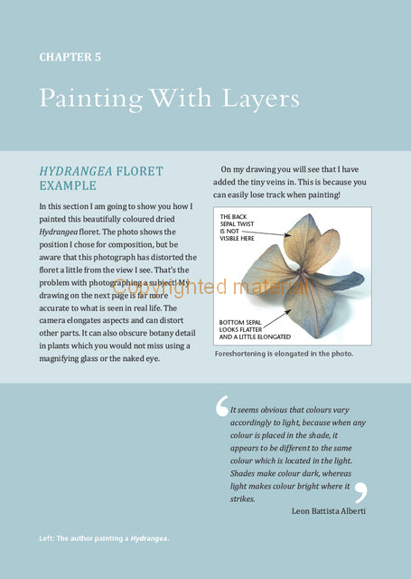 Watercolour Mixing Techniques for Botanical Artists