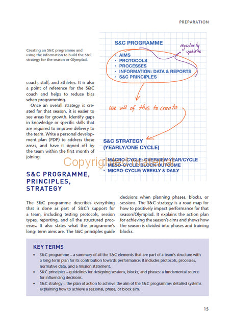 Strength and Conditioning for Women in Team Sports