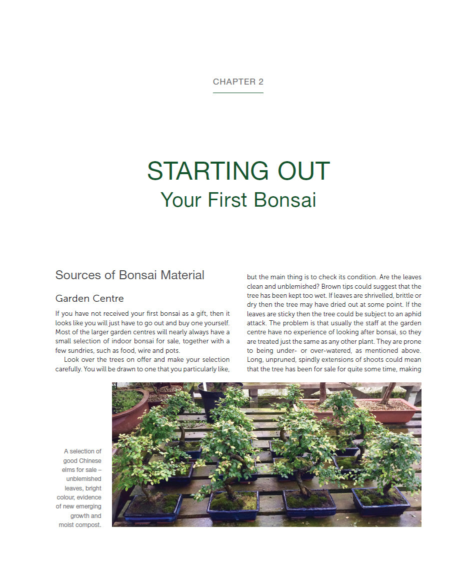Practical Art of Bonsai