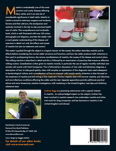 Mastitis In Cattle