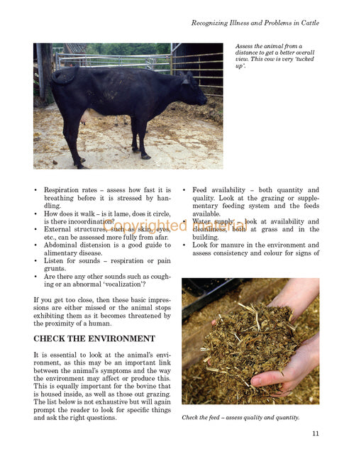 The Cattle Keeper&#39;s Veterinary Handbook