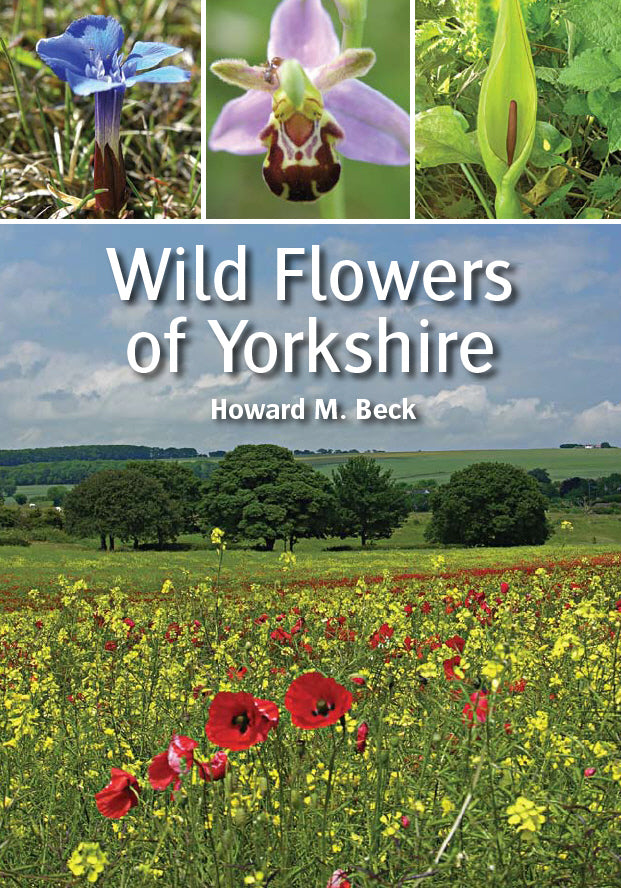 Wild Flowers of Yorkshire