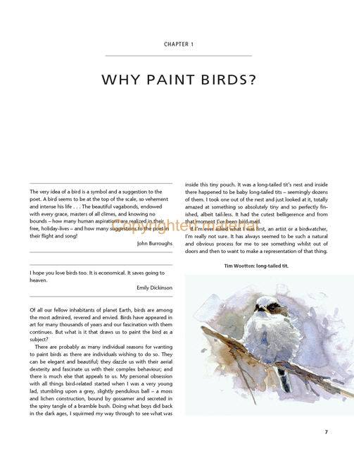 Drawing and Painting Birds